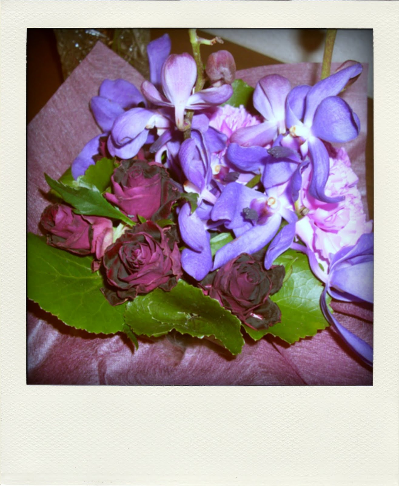 [DSCI0075-pola.jpg]