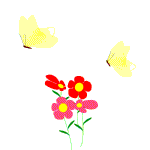 [flores.gif]