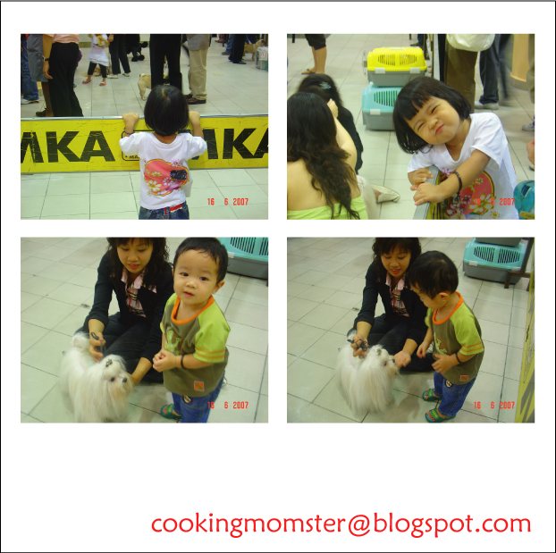 [Dog-Show-1.jpg]
