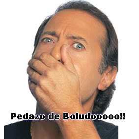 pedazo-de-boludo.jpg