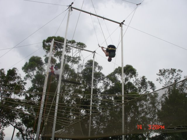 [DSC00035.JPG]