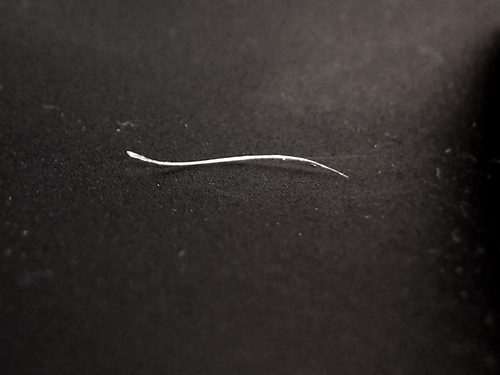 [2153585176_b7e8584a02.jpg]