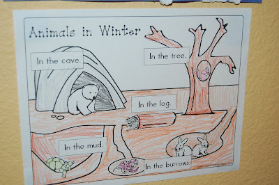 Hibernation & Migration Animal Adaptation PowerPoint + Worksheet