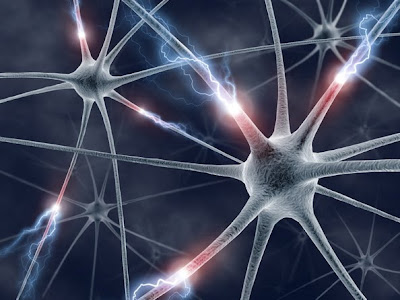 Introduction to Neural Networks