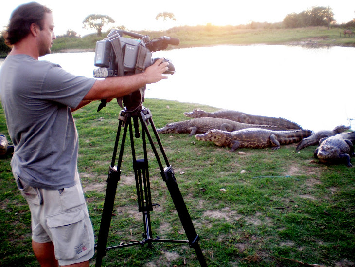 Pantanal Sul Matogrossense.