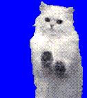 [015.GIF]