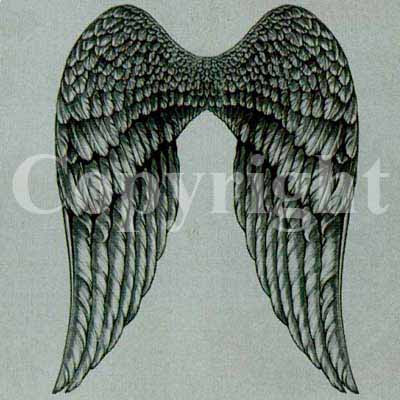Angels Wings Tattoo on Angel Wings Tattoos Import Tattoo