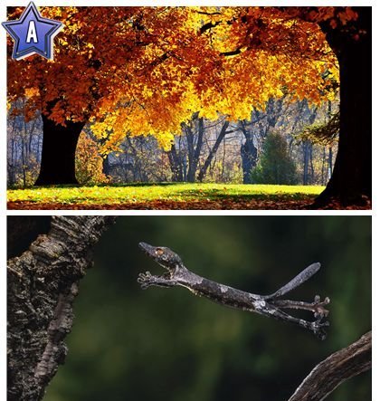 Hd Nature Wallpapers. hd nature wallpapers. Hd Nature Wallpapers.