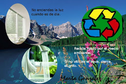 cartel medio ambiental