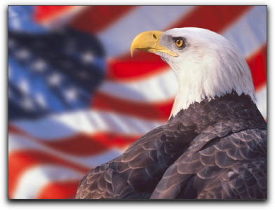 American_Flag_Eagle.jpg