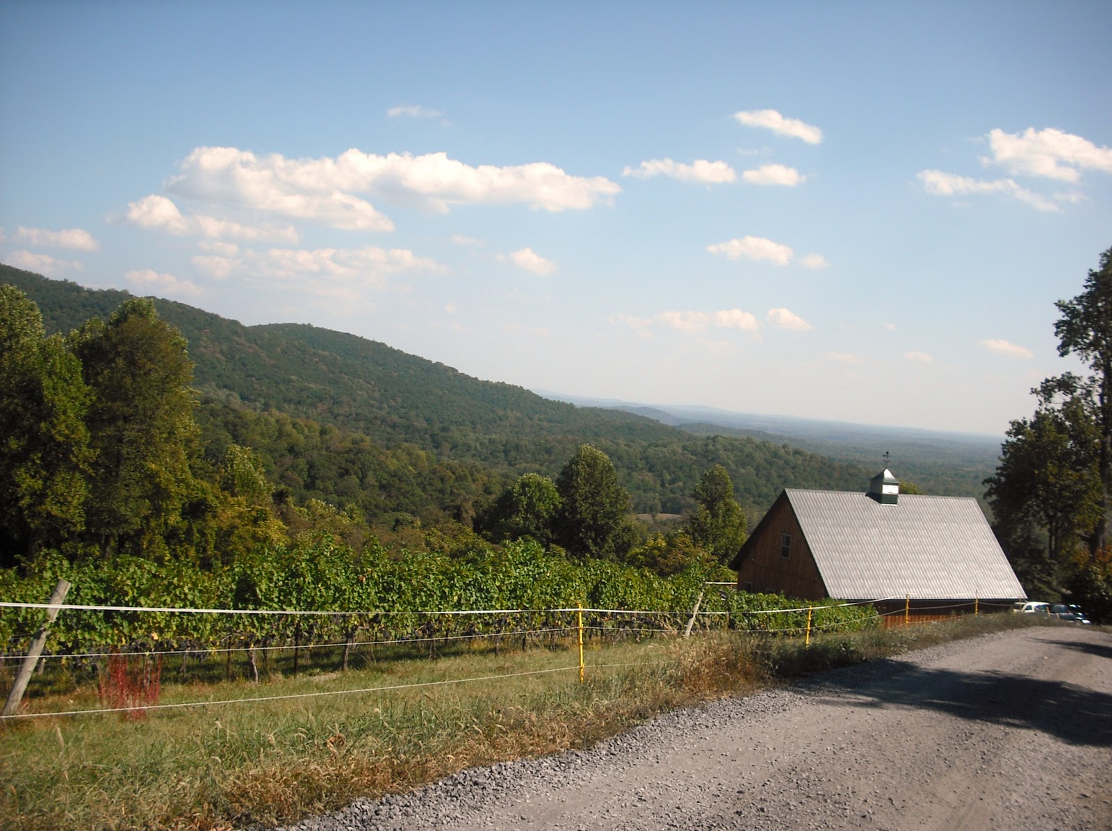 Wine About Virginia Return to Chester Gap Cellars
