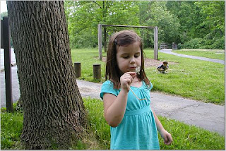 Dandelion Girl