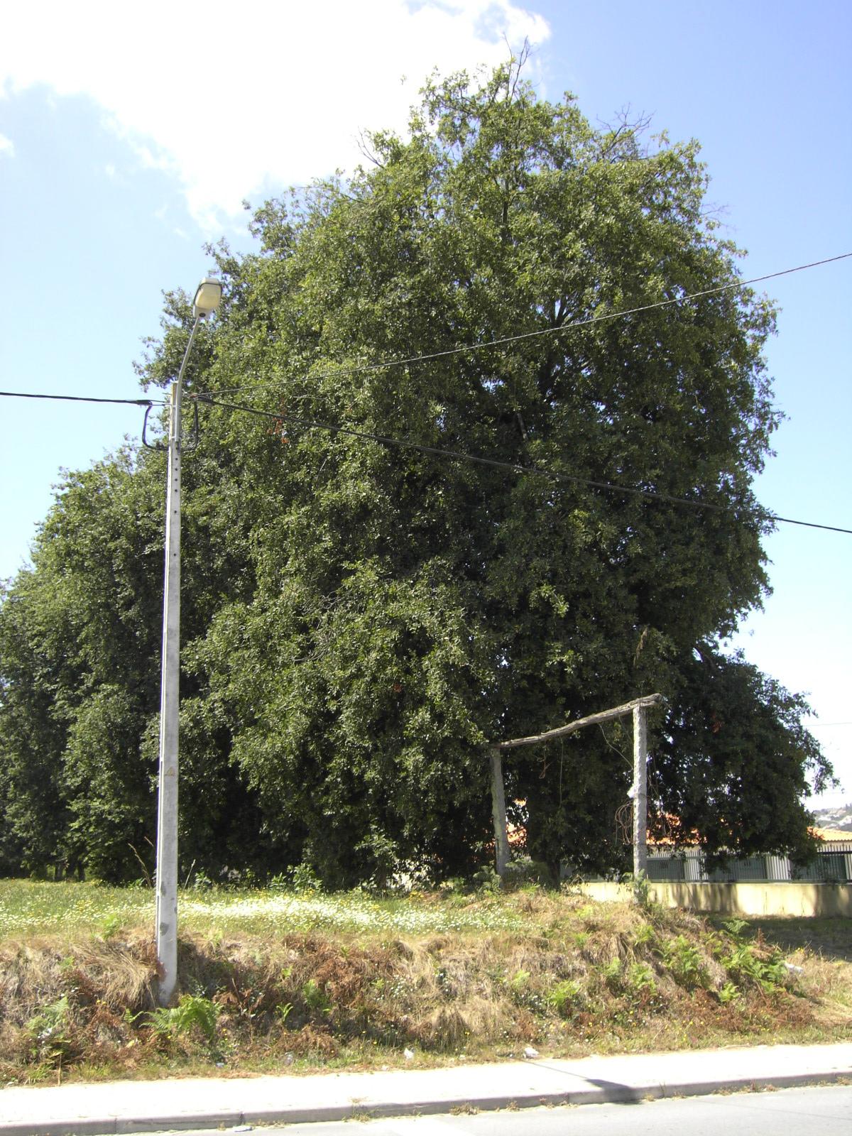 [PICT1138.JPG]