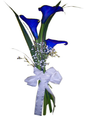 Pensamiento blanco: Elegancia pensamientos de amistad. Pensamiento blanco: Elegancia