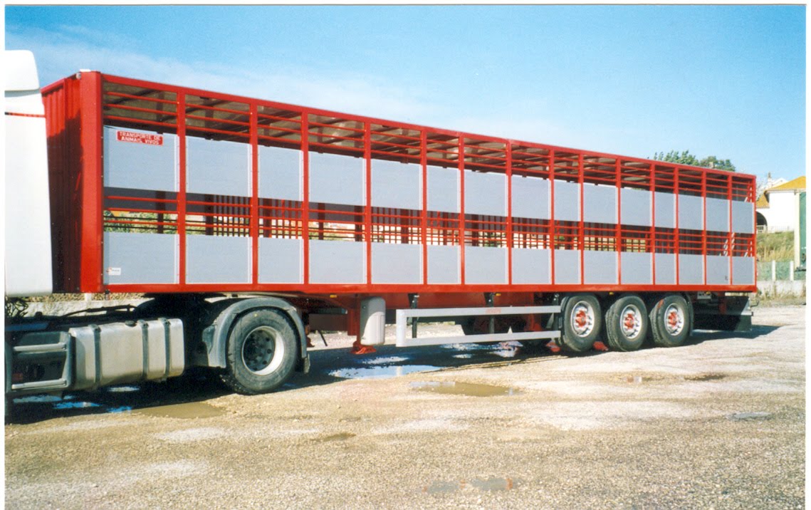 [Digitalizar0013.jpg]