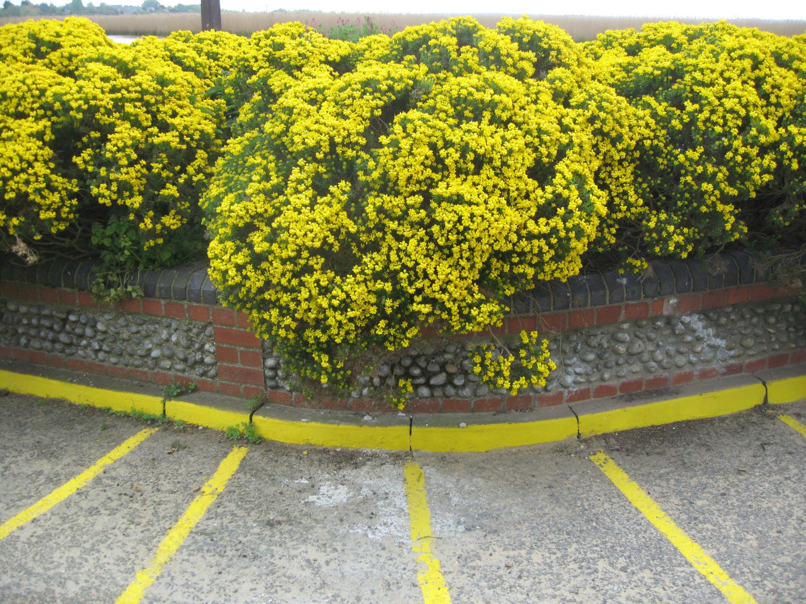 [IMG_7833.JPG]