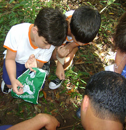 Plantando Nossa Árvore