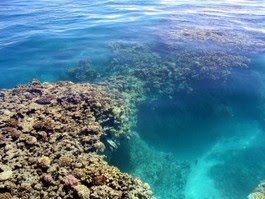 Why is the Ocean SaltyAll