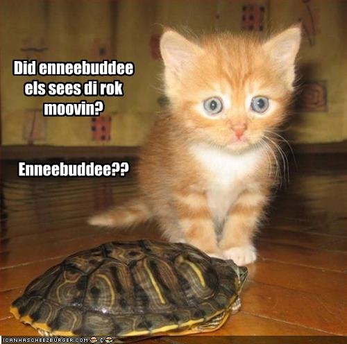 [enneebuddee.bmp]
