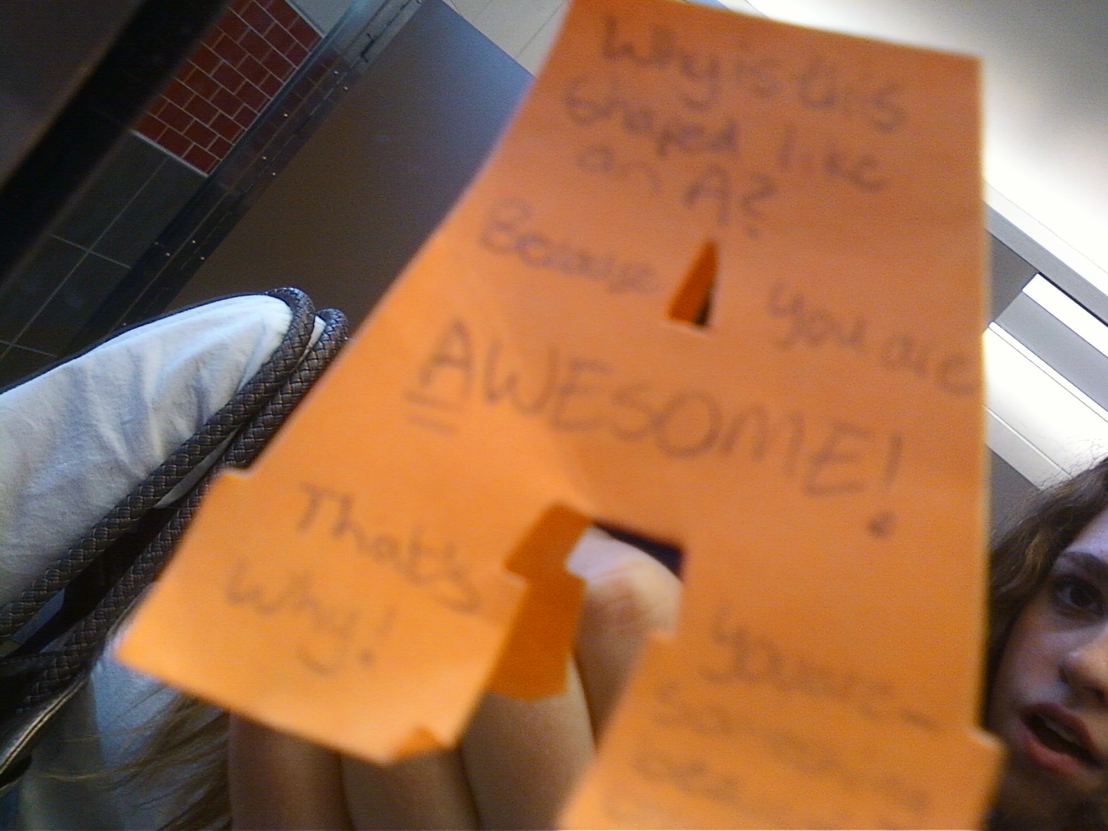 Something Beautiful Bathroom Mirror Notes!