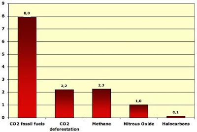 The main greenhouse gas is