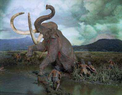 mammoth-1.jpg