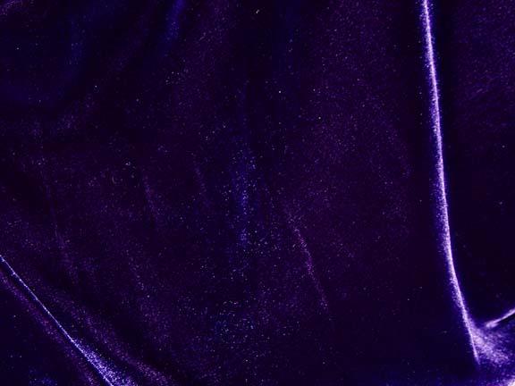 [silk_velvet_eggplant.jpg]