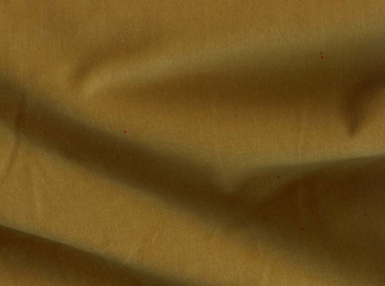 [9_22_velvet_camel.jpg]