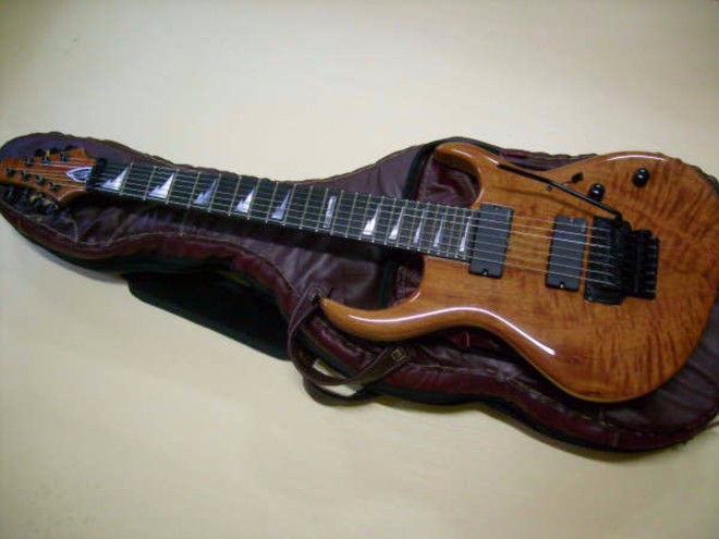 guitars case andrellis