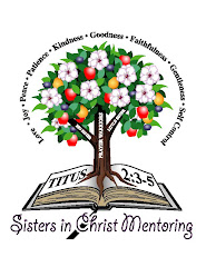 Sisters in Christ Mentoring