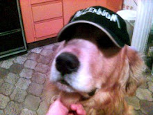 De la gorra . . .