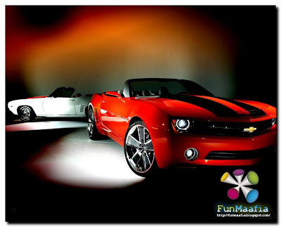 Car Girls; tuning car tuning girls. Car Girls; tuning