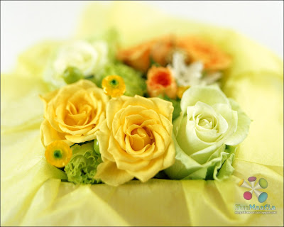 Flowers Roses, images of flowers and roses. Flowers Roses,