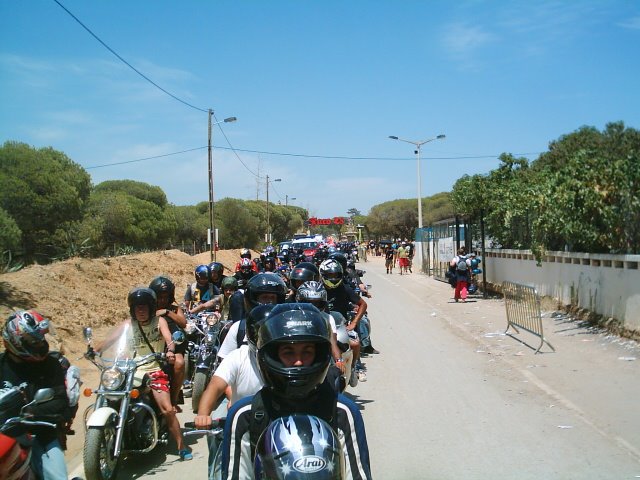 [IMG_0932.JPG]