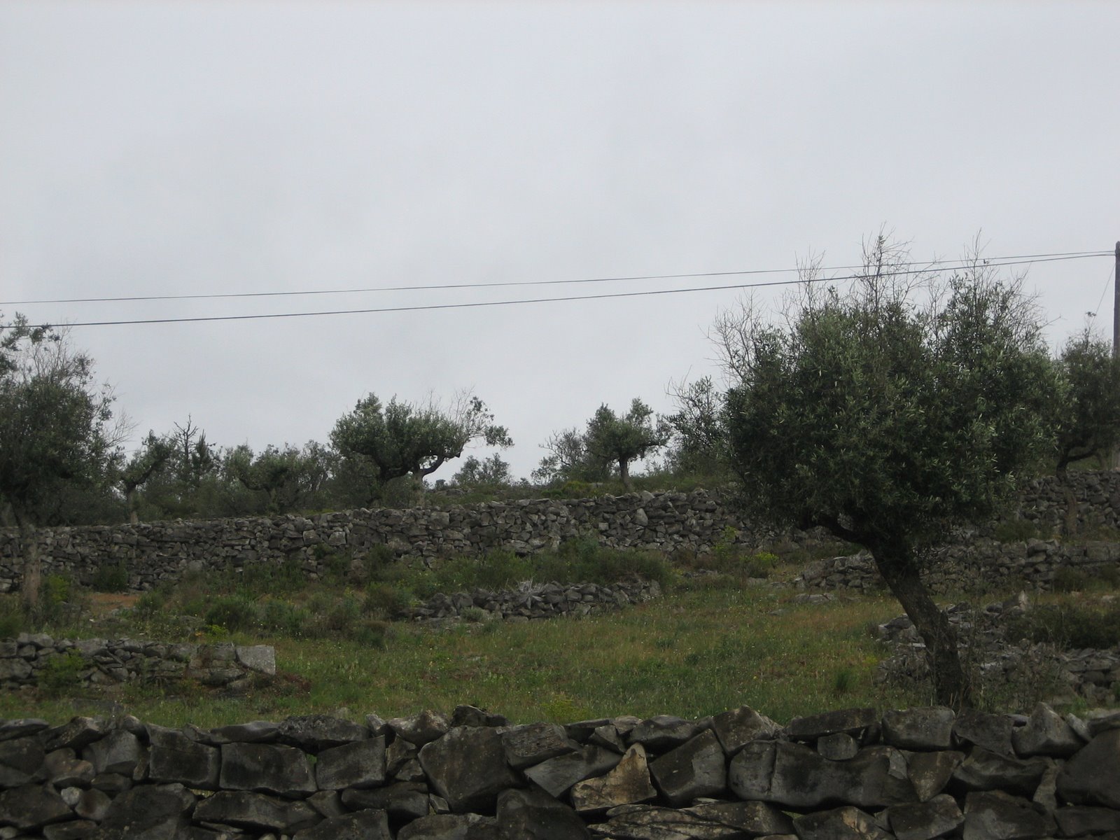 [IMG_5420.JPG]