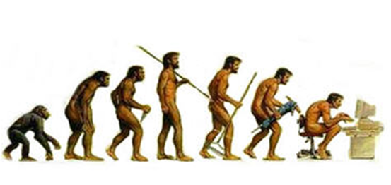 Evolucion Digital