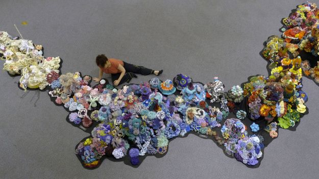 ... Crochet Coral Reef: colorful yarn and complex math to save coral reefs
