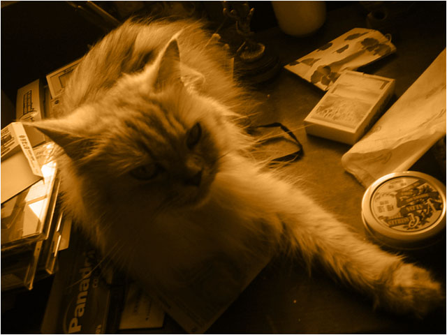 [07142008.jpg]