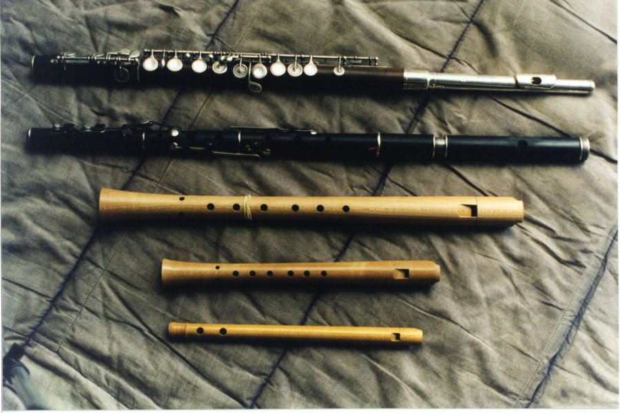 Flute Meaning And Definition at Phillip Little blog