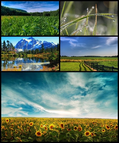 Beautiful Nature Wallpapers beautiful nature wallpaper. Beautiful Nature Wallpapers
