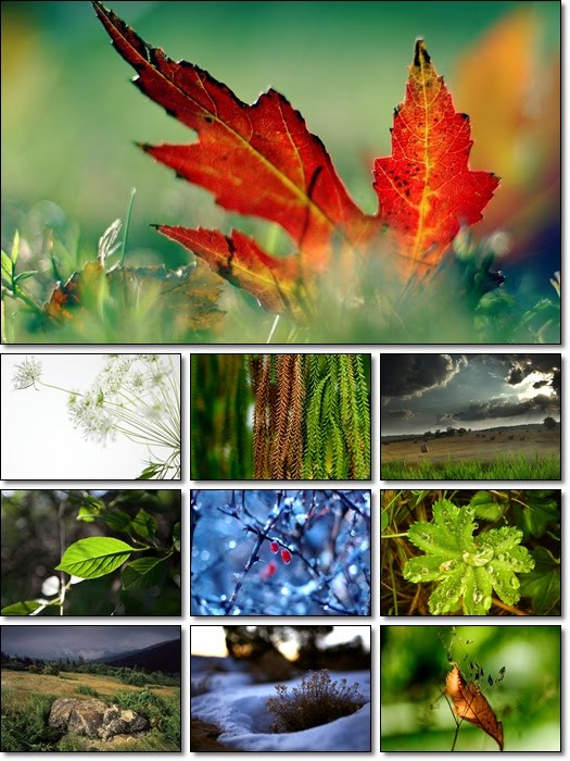 Animated Nature Wallpapers Free Download. Free Download