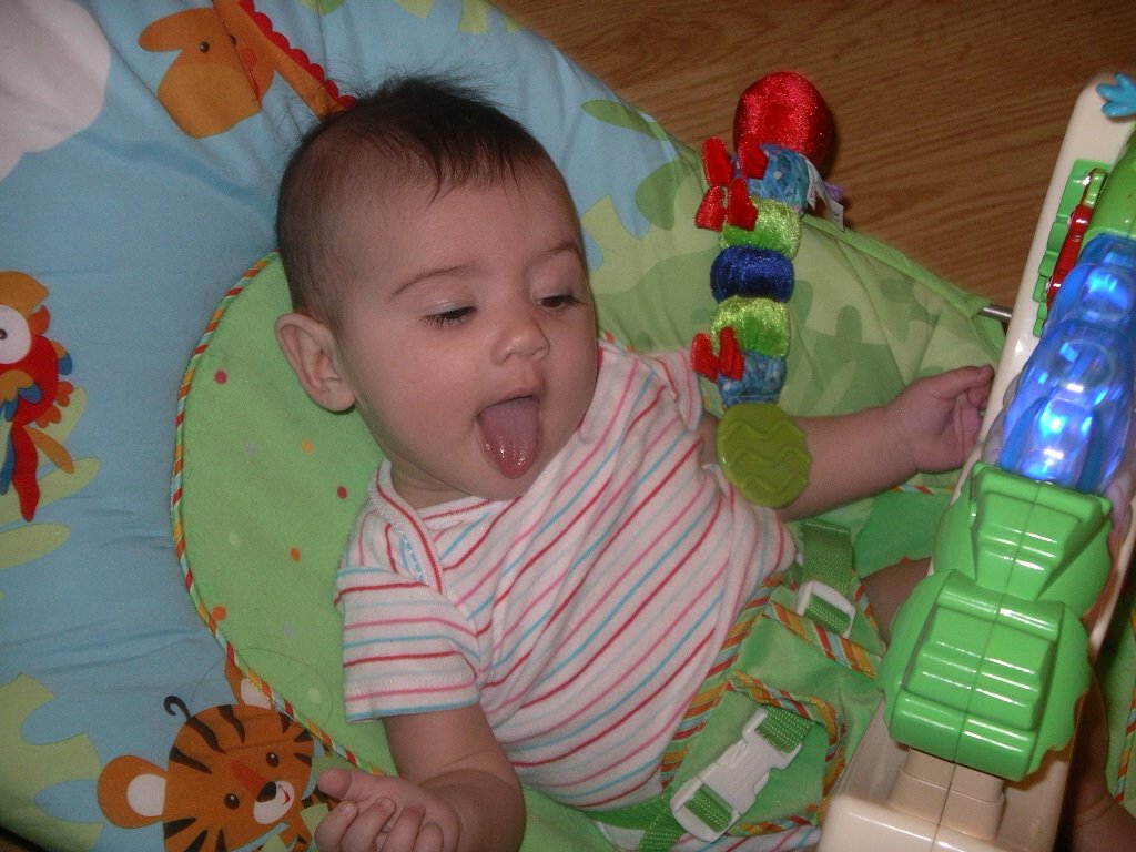 [IMGP1032.JPG]