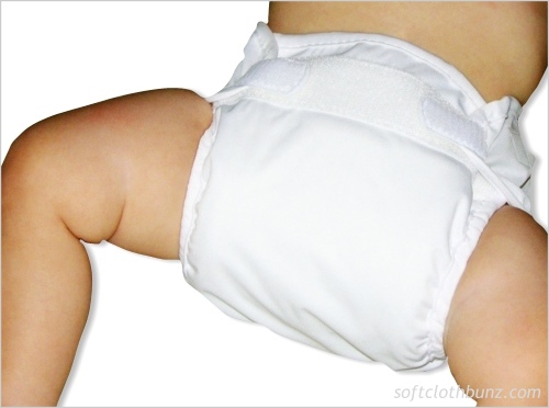 http://4.bp.blogspot.com/_CFGTjIBDv4o/TSs2cpa1cII/AAAAAAAABQg/dr0-rSDqeDk/s1600/Cloth+diaper.jpg