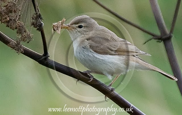 [2009-09-12-002.jpg]