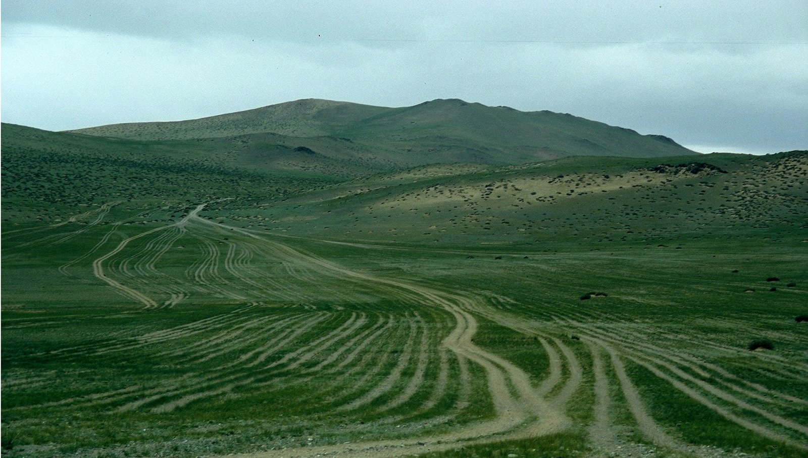 [mongolia+005.jpg]