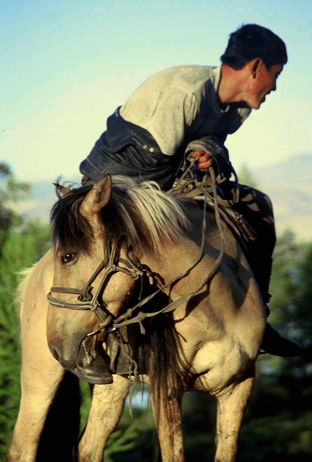 [mongolia+012.jpg]