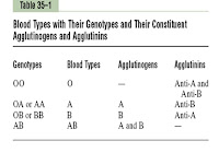 Agglutinogens Vs Agglutinins