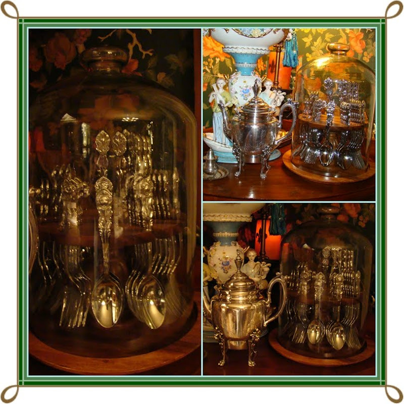 Christine's Home and Travel Adventures Things Under Domes