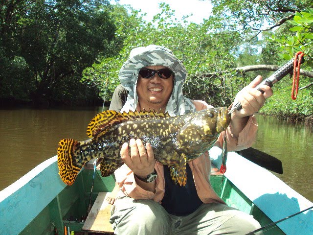 Tanggulian's Grouper