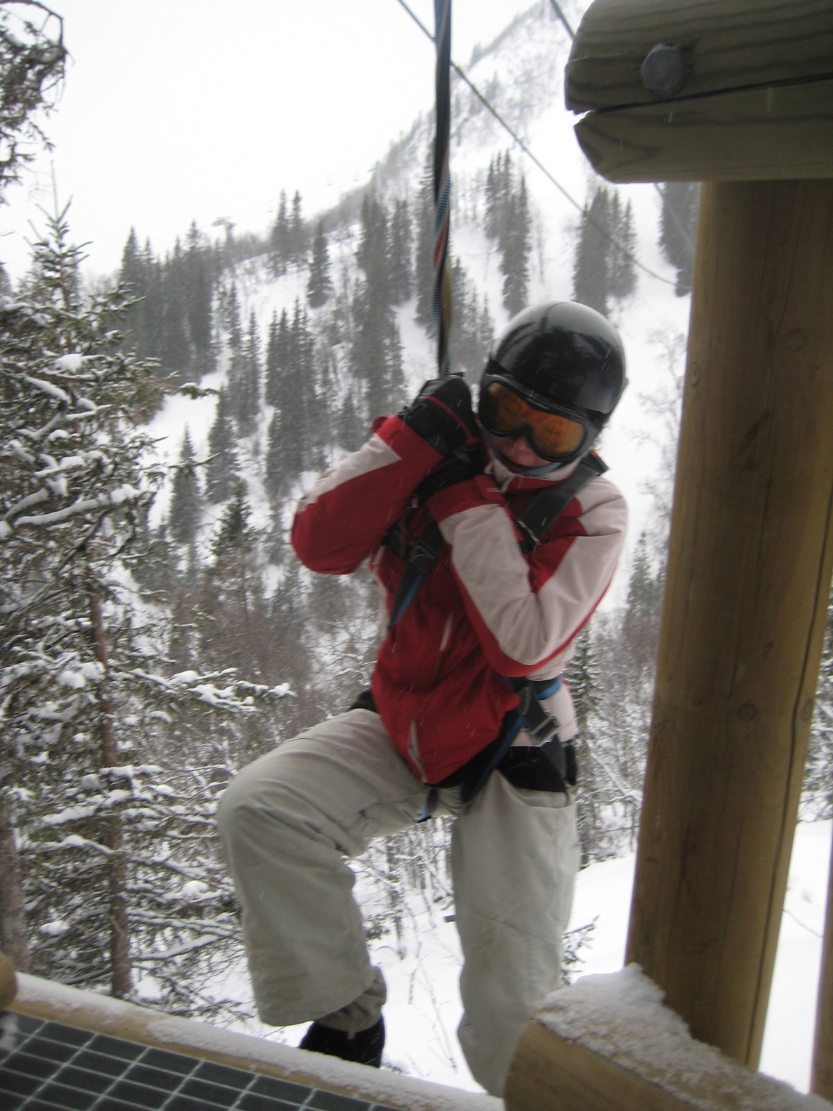 [zipline+4.jpg]